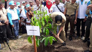 Dihadiri Gubri, Pemprov-Pemkab Kuansing Lakukan Penanaman Pohon Serentak